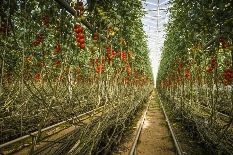 Interpipe supplied pipes for the hottest geothermal well in Austria