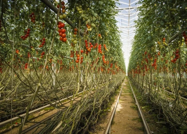 Interpipe supplied pipes for the hottest geothermal well in Austria